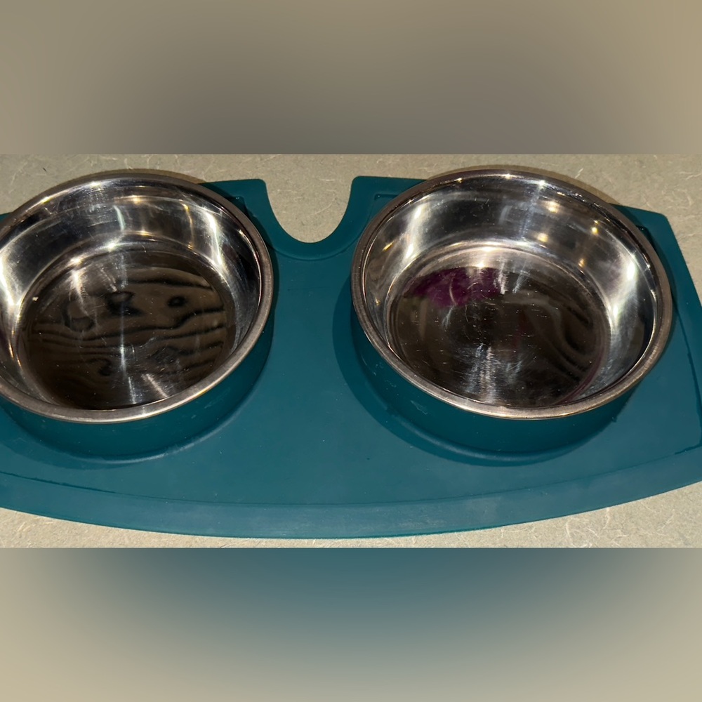 Pet feeding watering set Removable Stainless Steel Bowls w/ silicone grip Mat